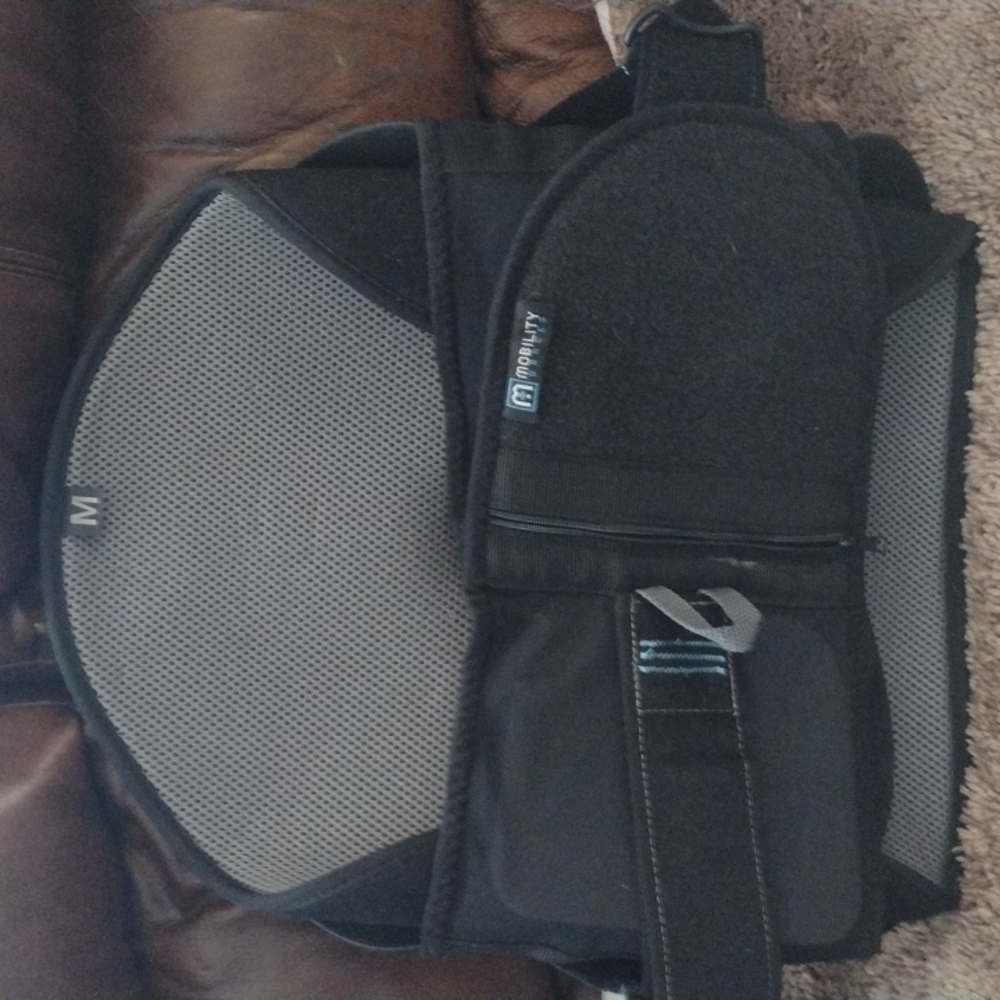 Ladies Backbrace